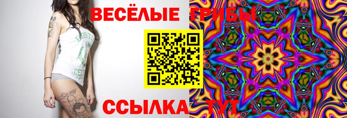 Галлюциногенные грибы Psilocybe  Вход с VPN  Богданович  Галлюциногенные грибы прущие грибы 